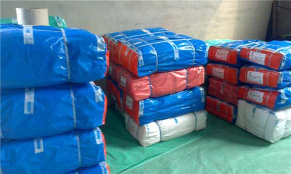 1536890740618368.jpg 1536890740618368